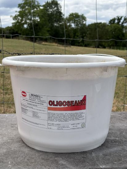 Image de OLIGOSEAUX
