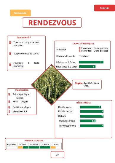 Image de RENDEZVOUS