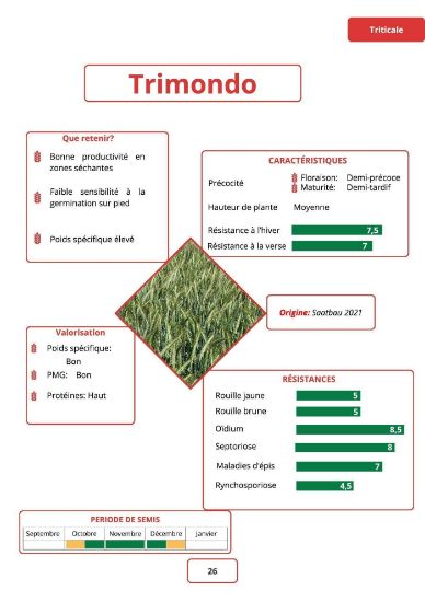 Image de TRIMONDO LAT