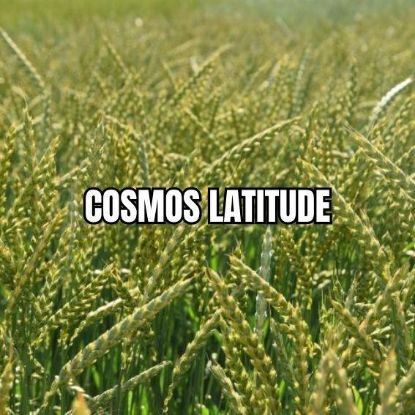 Image de COSMOS LAT