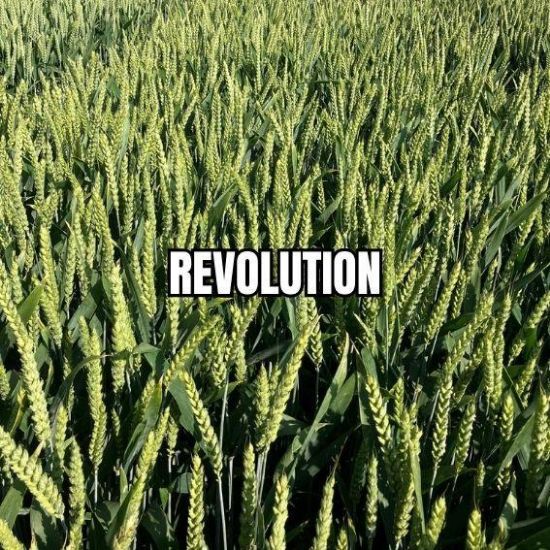 Image de REVOLUTION