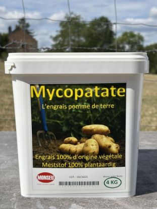 Image de MYCOPATATE 4K  Seau